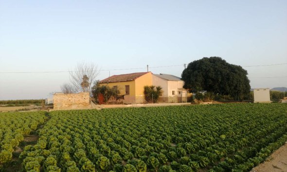 Villa / Casa - Reventa - Orihuela - Orihuela
