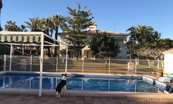 Willa - Rynek Wtórny - Cabo Roig - Cabo Roig