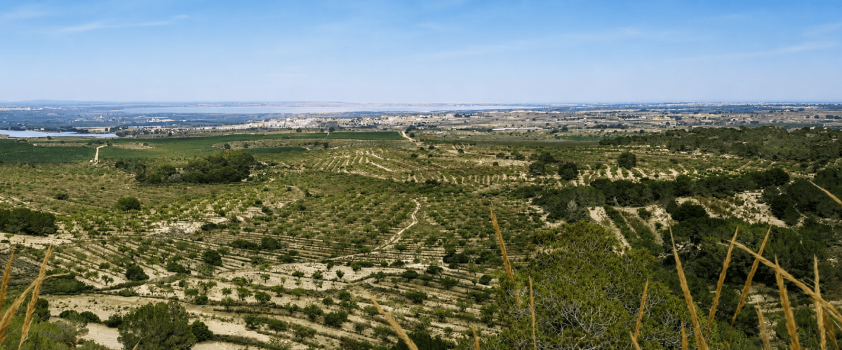 San Miguel de Salinas