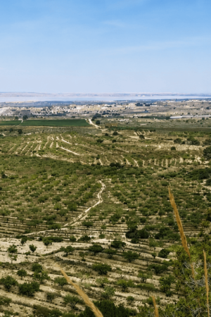San Miguel de Salinas