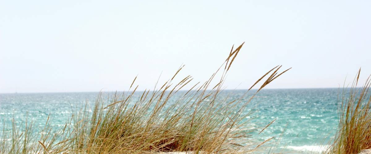 Guardamar Del Segura