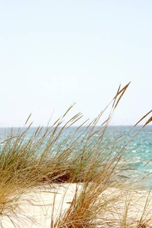 Guardamar Del Segura