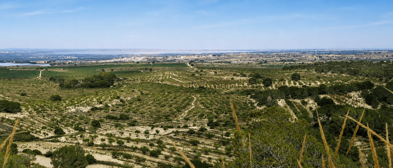 San Miguel de Salinas
