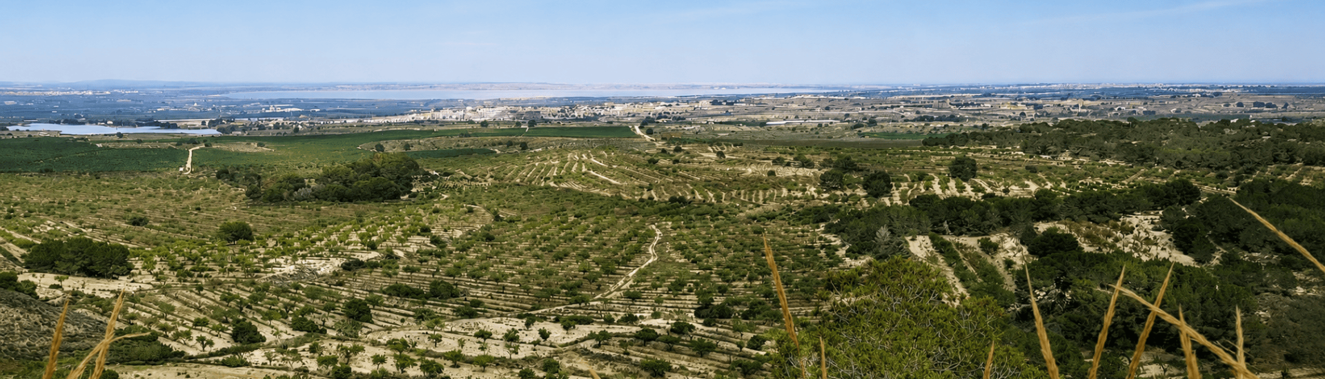 San Miguel de Salinas