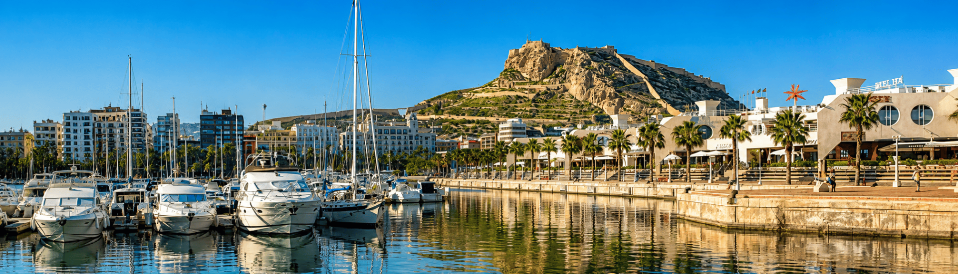 Alicante