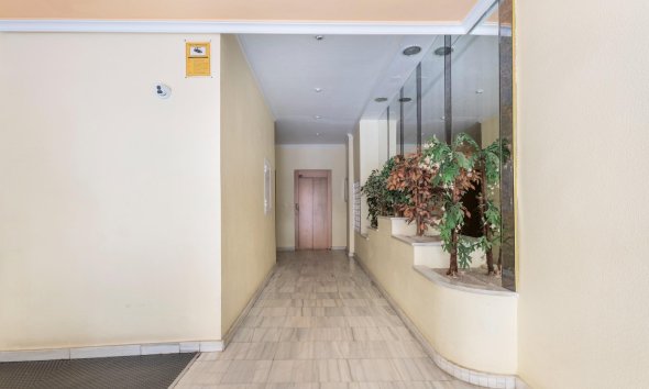 Resale - Apartment - Torrevieja - Playa del cura