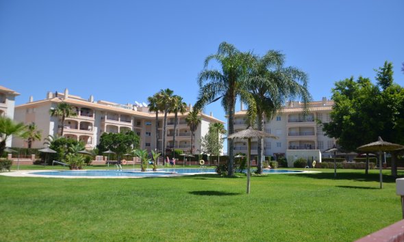 Resale - Apartment - Orihuela Costa - Playa Flamenca