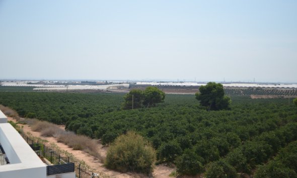 Reventa - Villa - Pilar de la Horadada