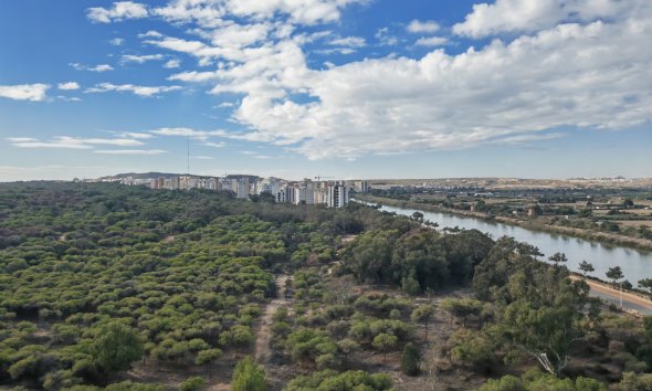 Resale - Apartment - Guardamar del Segura