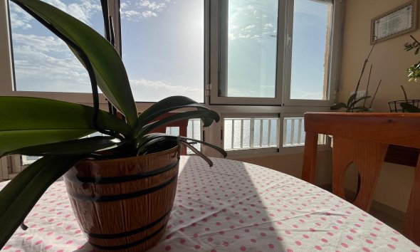 Resale - Apartment - Torrevieja - Playa del cura