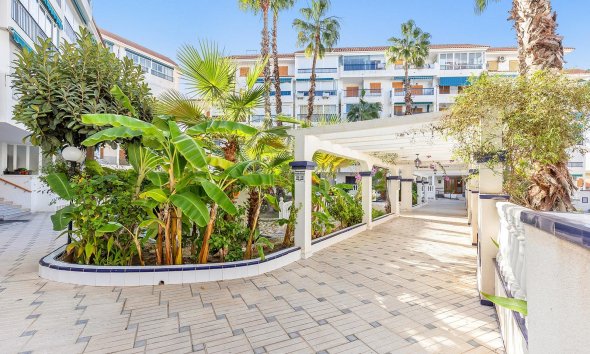 Resale - Apartment - Torrevieja - Los Europeos