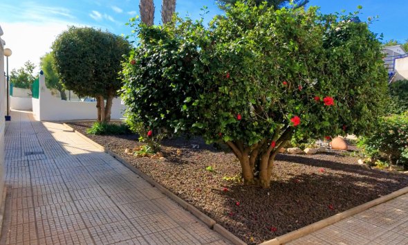 Resale - Town House - Torrevieja