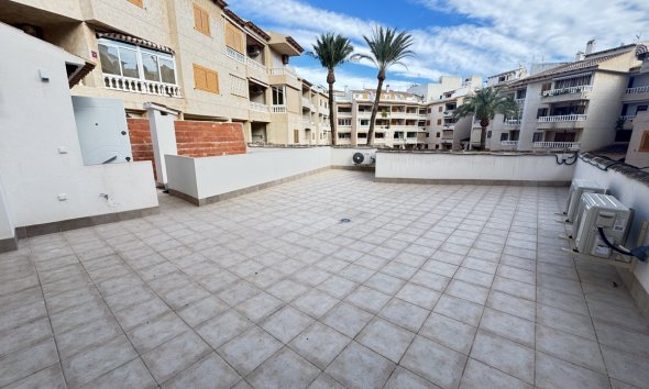 Reventa - Apartmento - Torrevieja