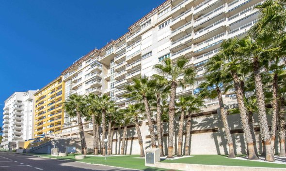 Reventa - Apartment - Orihuela Costa - Campoamor