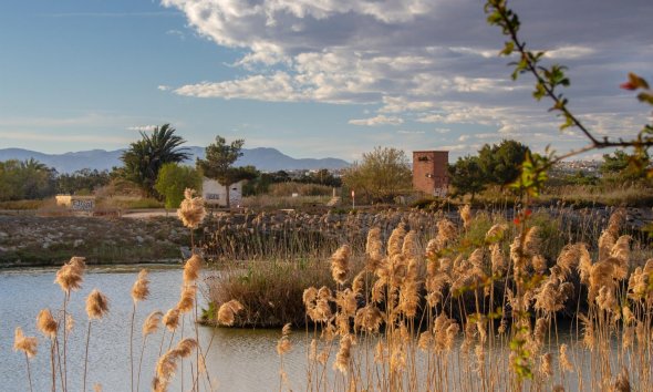 New Build - Bungalow - Guardamar del Segura - Guardamar Del Segura