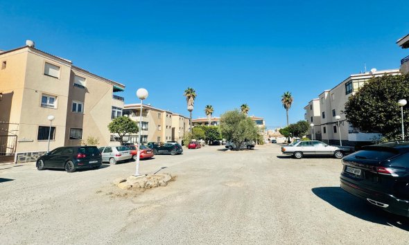 Rynek Wtórny - Apartament - Torrevieja - La Siesta