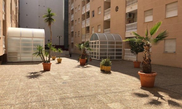 Resale - Apartment - Torrevieja - Playa del cura