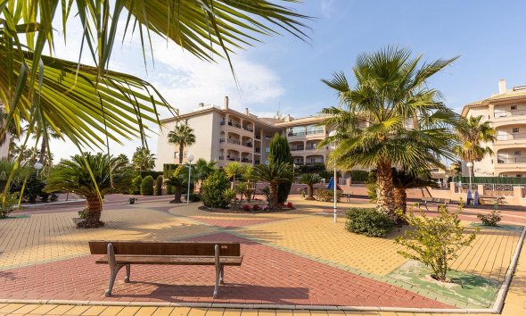 Rynek Wtórny - Apartament - Orihuela Costa - Playa Flamenca