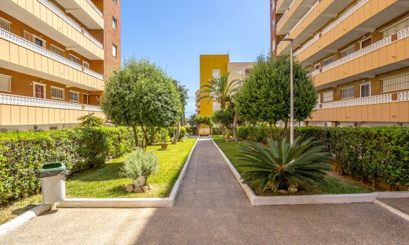 Resale - Apartment - Punta Prima