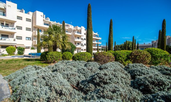 Reventa - Apartamento - Orihuela Costa