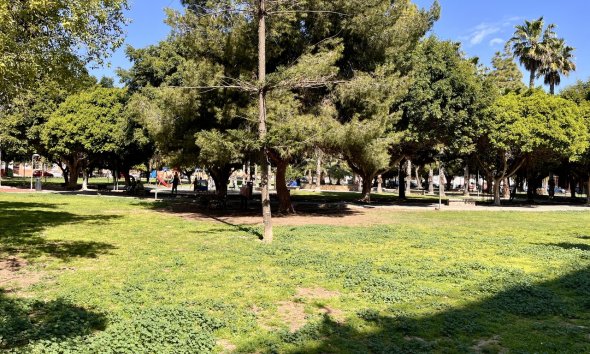 Reventa - Apartamento - Torrevieja