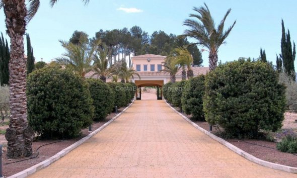 Reventa - Villa - Penàguila