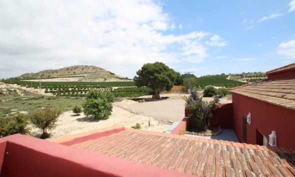 Resale - Estate / Farm / Plot - Orihuela - Torremendo