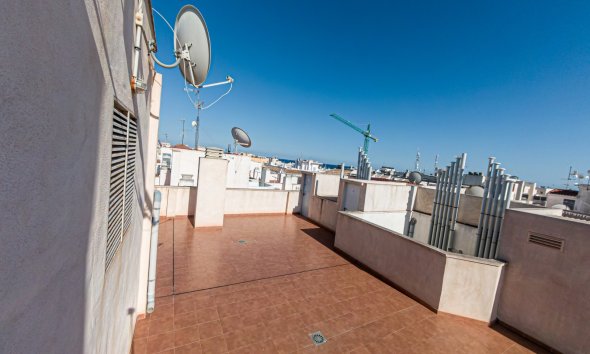Resale - Apartment - Torrevieja - Playa de Los Locos-Curva del Palangre
