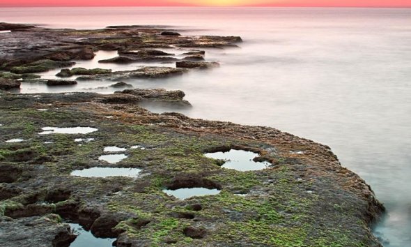 Rynek Pierwotny - Bungalow / Domek parterowy - Torrevieja - Aguas Nuevas