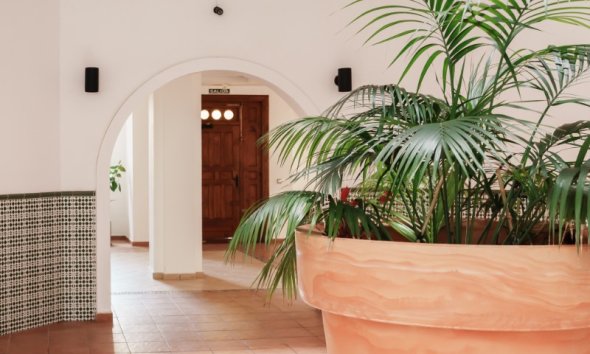 Resale - Apartment - Torrevieja - Playa Los Locos