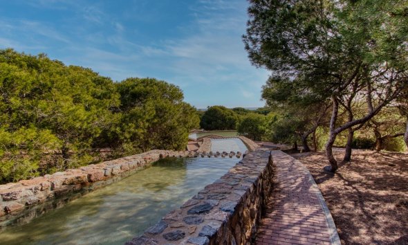 Resale - Bungalow - Torrevieja - Parque de las Naciones