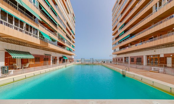 Reventa - Apartment - Torrevieja - El Acequión