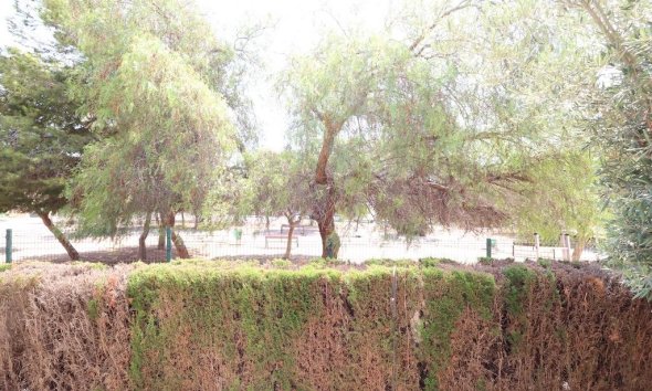 Resale - Bungalow - Orihuela Costa - Punta Prima