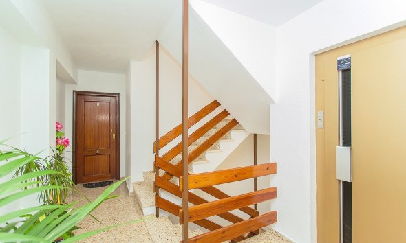 Rynek Wtórny - Apartament - Torrevieja - Playa del cura