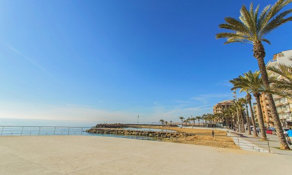 Rynek Wtórny - Apartament - Torrevieja - Playa del cura