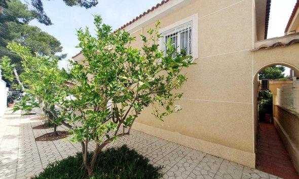 Rynek Wtórny - Dom szeregowy - Torrevieja