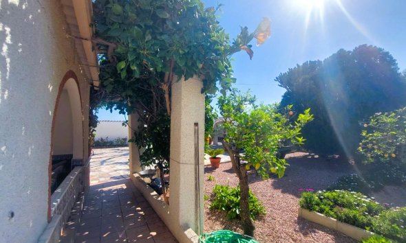 Reventa - Finca - La Marina