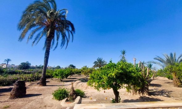 Reventa - Finca - La Marina