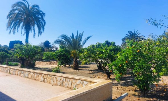 Reventa - Finca - La Marina