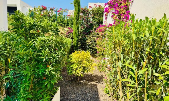 Resale - Villa - Algorfa - La Finca Golf