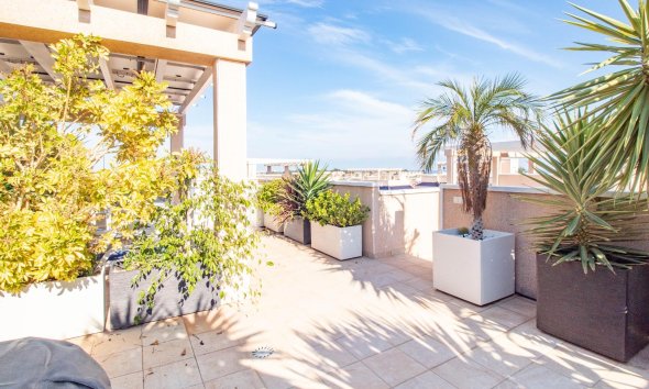 Resale - Bungalow - Torrevieja - Punta prima