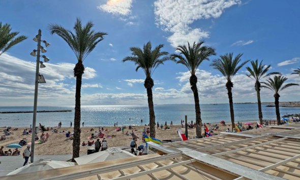 Reventa - Apartamento - Torrevieja - Playa del Cura