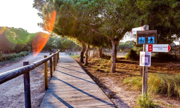 Resale - Bungalow - Torrevieja - El chaparral