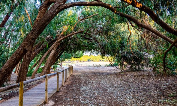 Resale - Bungalow - Torrevieja - El chaparral