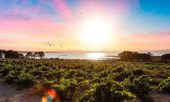 Resale - Bungalow - Torrevieja - El chaparral