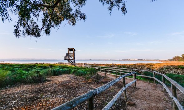 Resale - Bungalow - Torrevieja - El chaparral