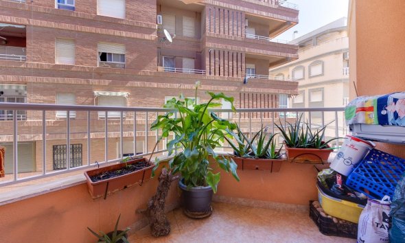 Reventa - Apartamento - Torrevieja - Playa de los locos