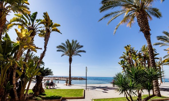 Resale - Apartment - Torrevieja - Playa del cura