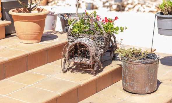 Resale - Estate / Farm / Plot - Bocairent - Inland