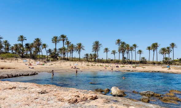 Resale - Apartment - Torrevieja - Punta prima